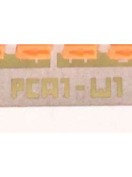pca1-w1-usd-saia