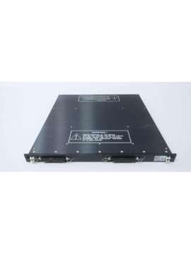 2756 3000103-001-triconex