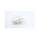 4230044000-moyno