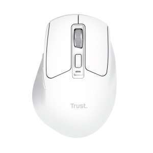 TRUST 26022 TRUST