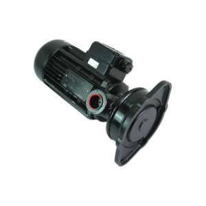 sb40+001-brinkmann pumps