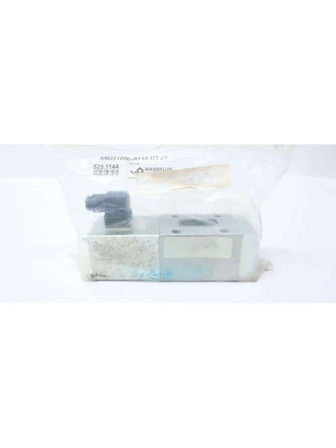 am22100b-r110-d1-wandfluh