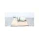 ps 24-usd-black clawson
