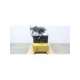 pem8418d-usd-enerpac