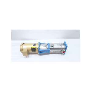 5SV8TB30 GOULDS