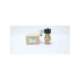 ap11-10a-02hb-dc24v-ckd