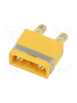 icx301pt-mgy-amass