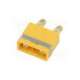 icx301pt-mgy-amass