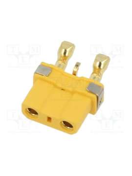 icx301pt-fgy-amass