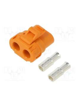 liftf c302-fso-amass