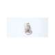 168a233-5-usd-globe motors