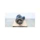rvn 404thfs18105an w-usd-marathon