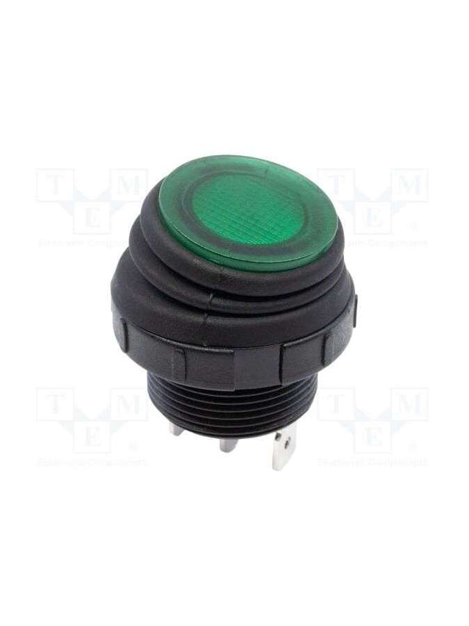 rrs20f1ablkgrnnn1p-e-switch