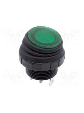 rrs20f1ablkgrnnn1p-e-switch