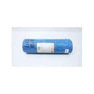 4005-MIR-BS21 MIR