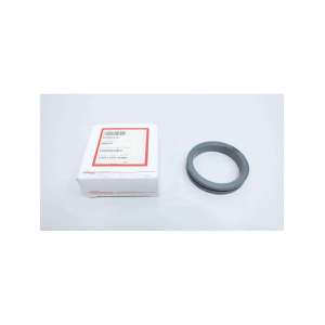 668841SL-K FLOWSERVE