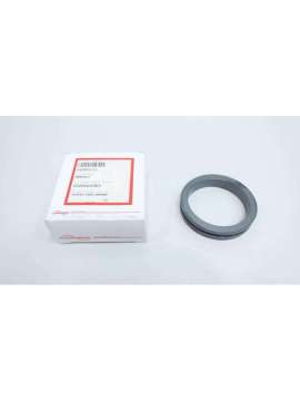 668841sl-k-flowserve