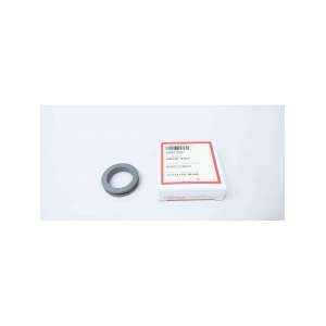 668778SL FLOWSERVE