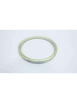 6a0112.1 r41 d-4-lamons