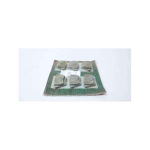 3666040-001-D2 FLOWSERVE