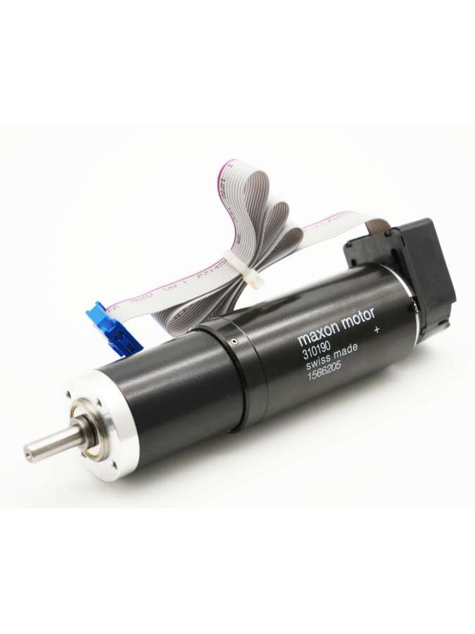 310190-maxon motor
