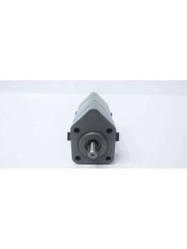 sg-51010-go-viking pump