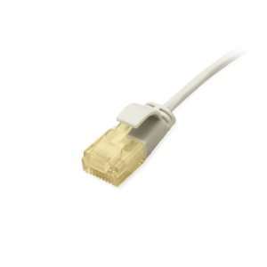EQ626706 EQUIP
