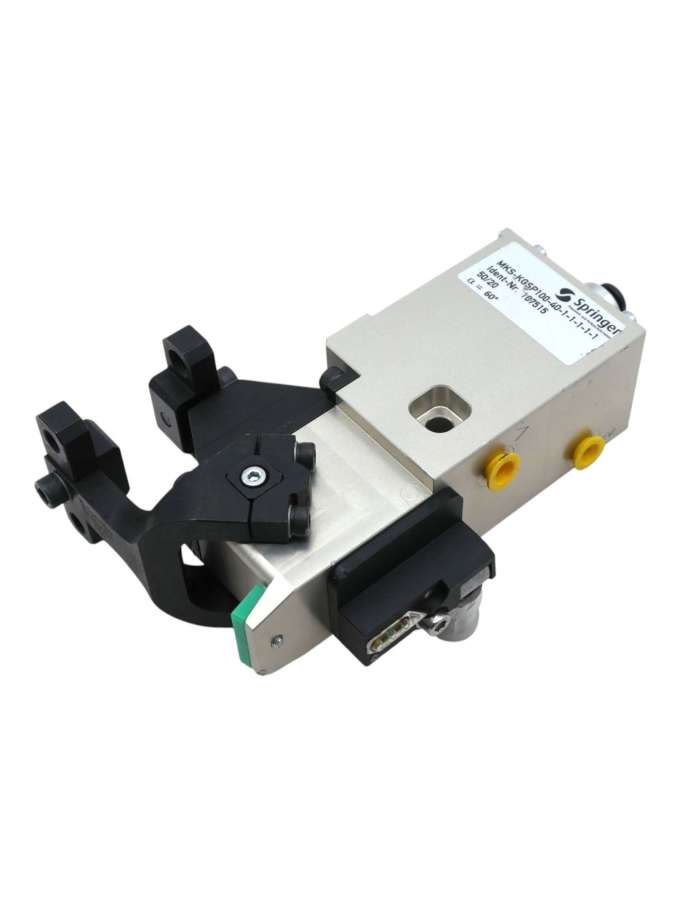 mks-ids28-m12-s1-springer