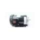 56t17f15951a-leeson