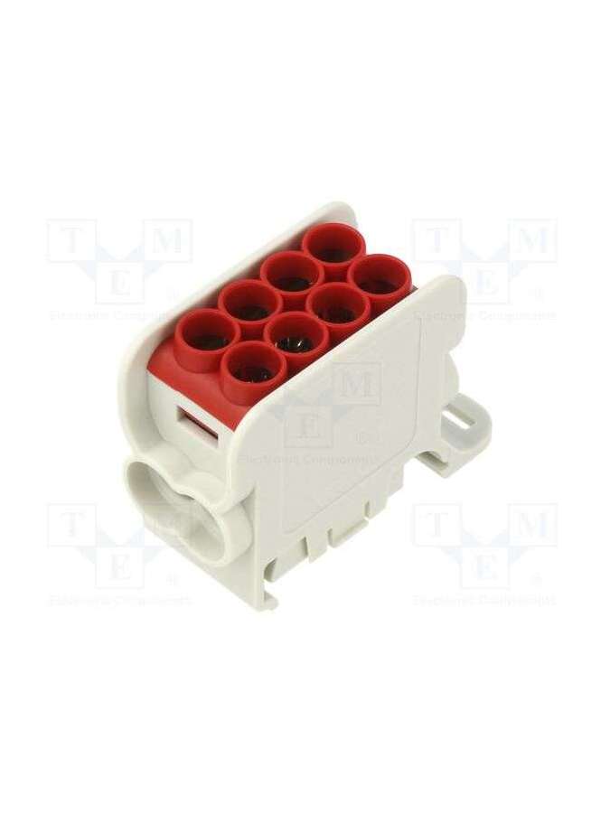 mag4254a00-morek