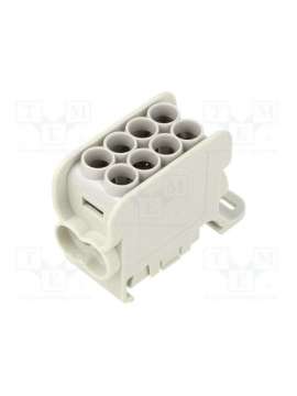 mag1251a00-morek