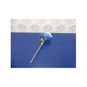 TM131-CKP34/101 ENDRESS HAUSER USADO