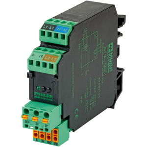 50003