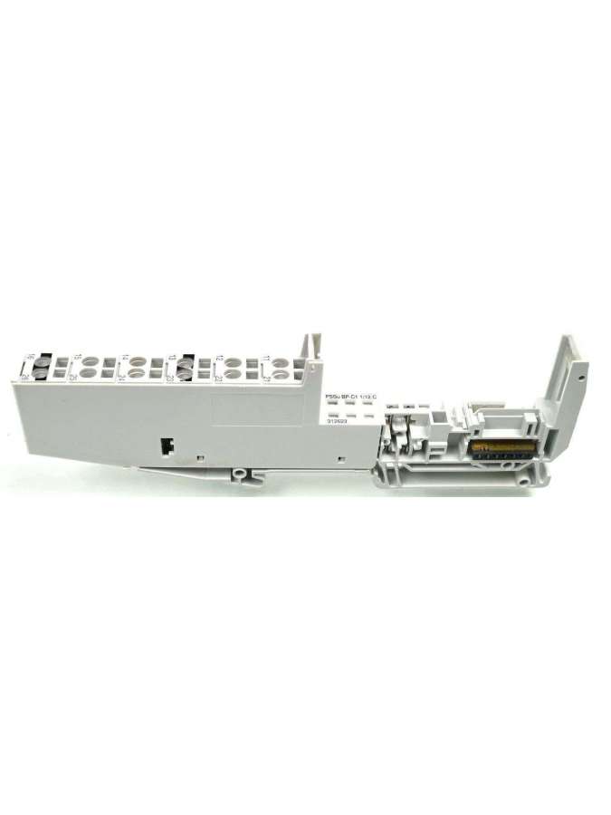 312623-pilz