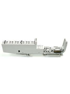 312623-pilz