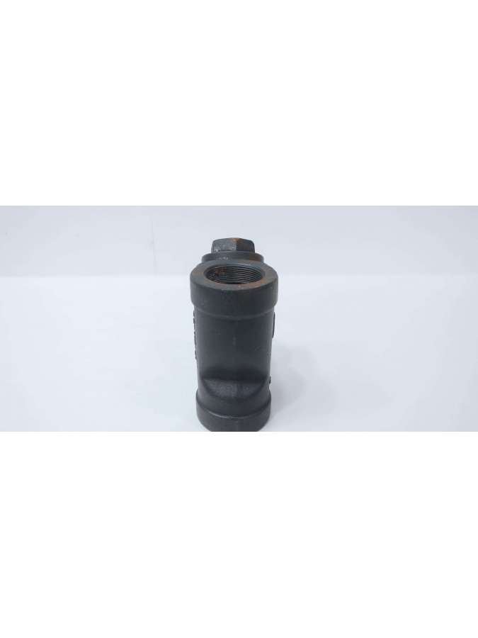 2.0-11m-01-mueller steam specialty