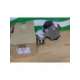 dad63-quer-mv-m12-bee