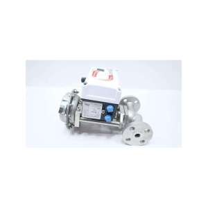 3850P1 FLOWSERVE