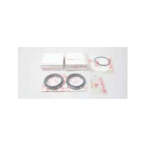 BM134506 FLOWSERVE