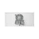 1802-0000-02-teledyne