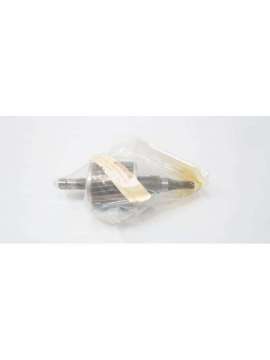 n6gj0255502s/01-harrington