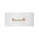 ots60-ferraz shawmut