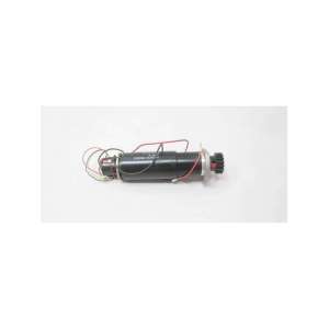 303916 MAXON