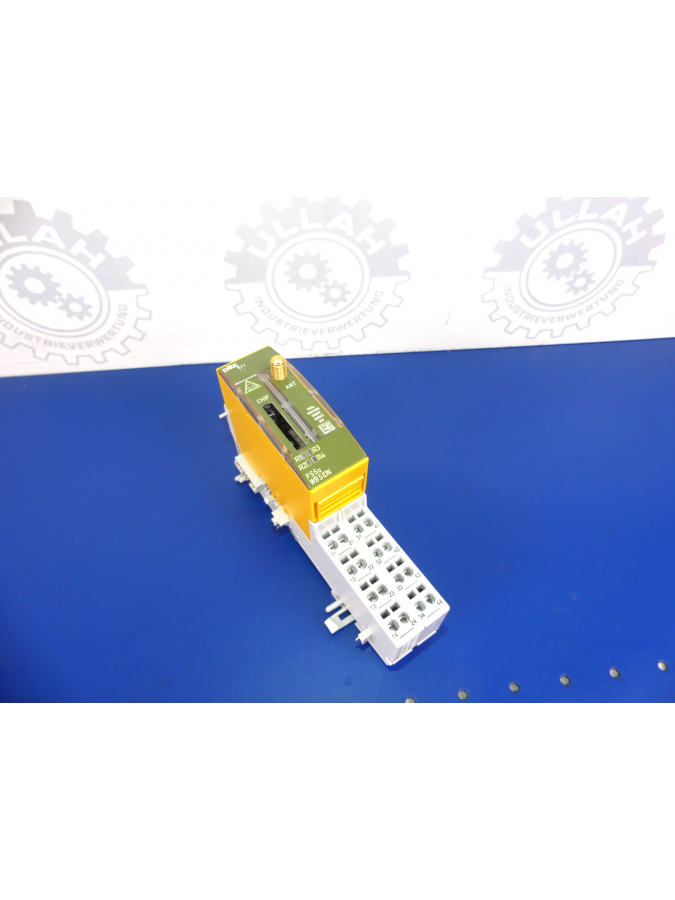 312095-pilz