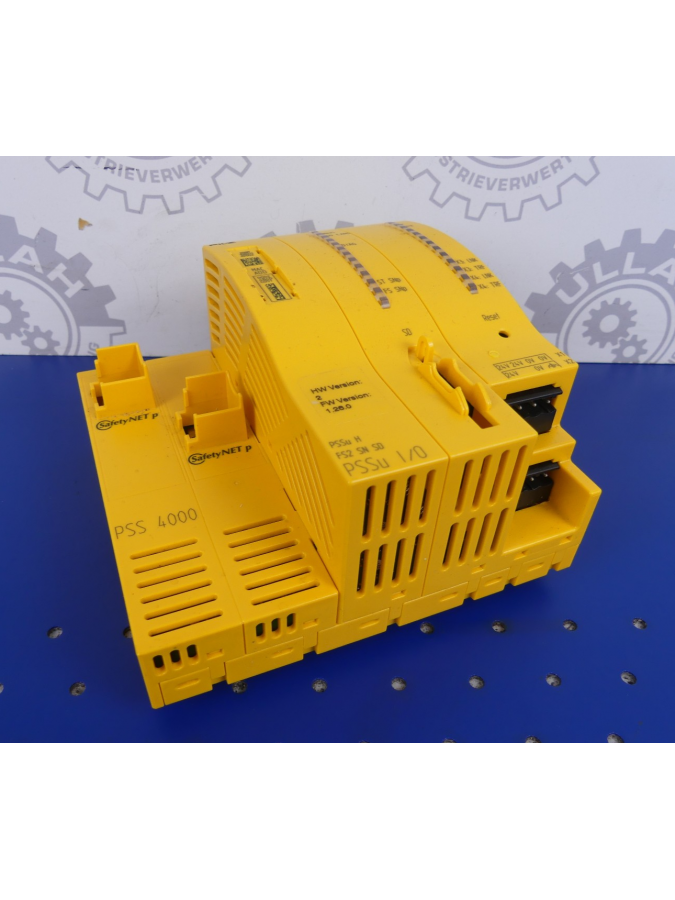 312087-pilz