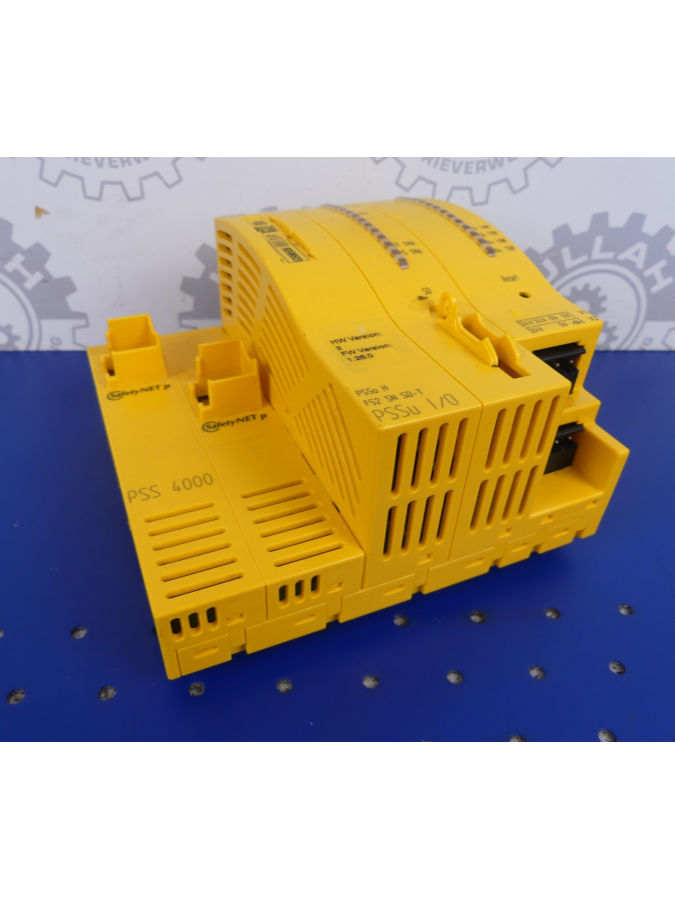 314087-pilz