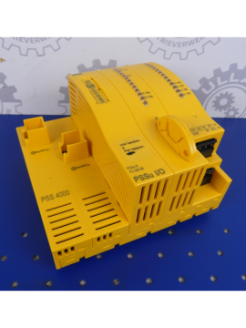 312085-pilz