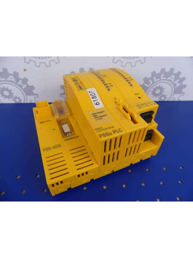 312071-pilz